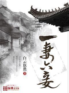 一夫一妻将六儿
