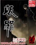 贩罪实体书