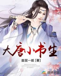 大唐小书生排行榜