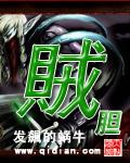 贼胆大