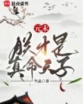 元末朕才是真命天子全文阅读