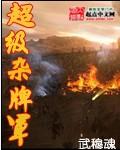 杂牌军战斗力